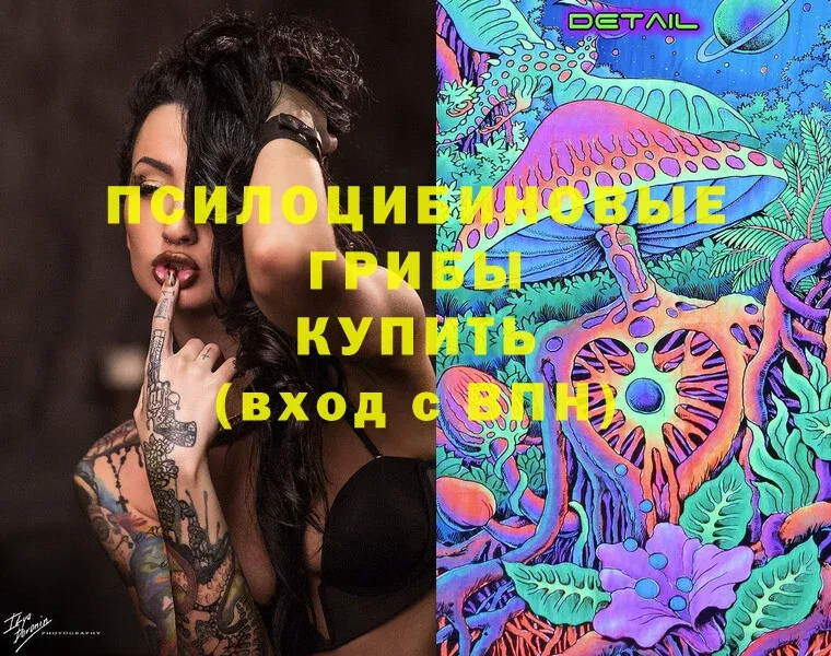 Галлюциногенные грибы Cubensis  Реутов 